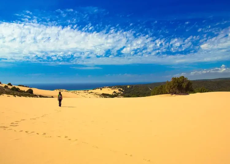 deserto