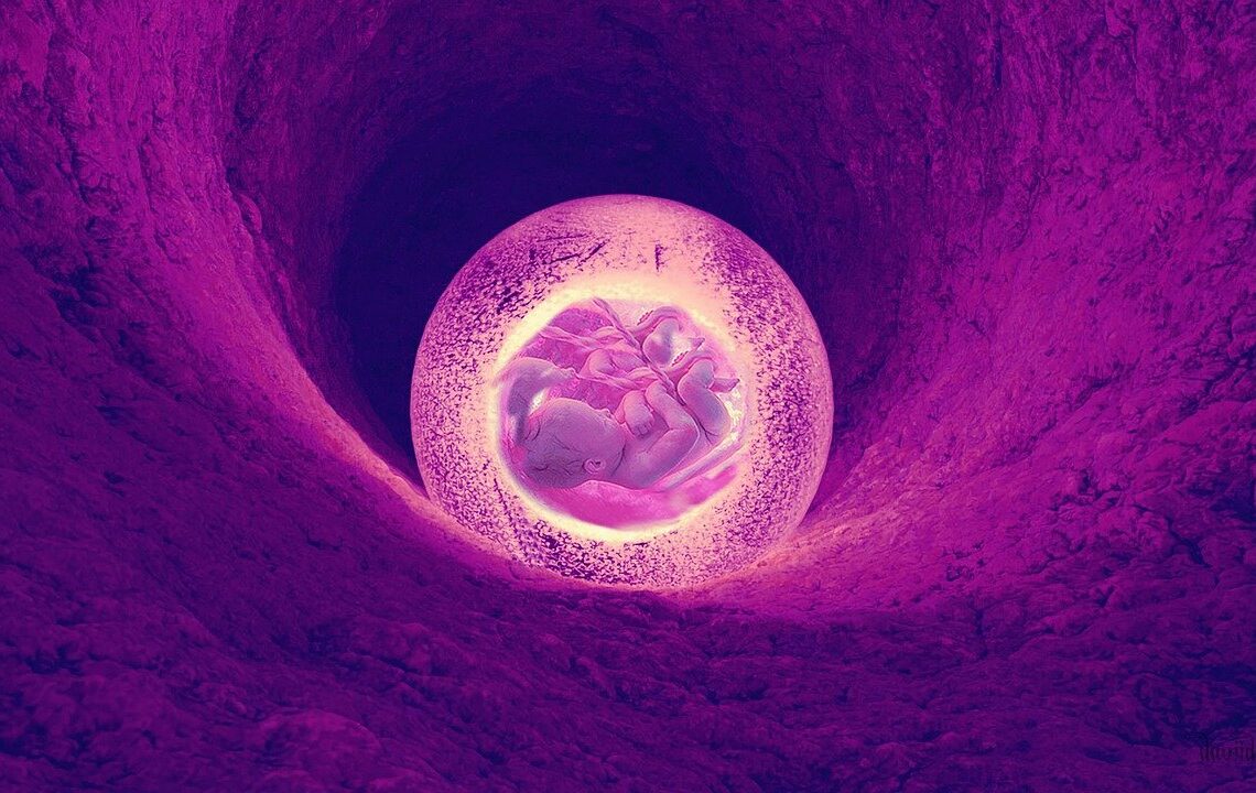 Uterus transplantation for transgenders under study