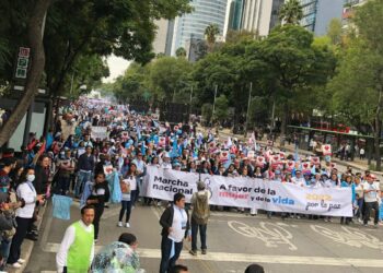 More than one million participants: March for Life in Mexico