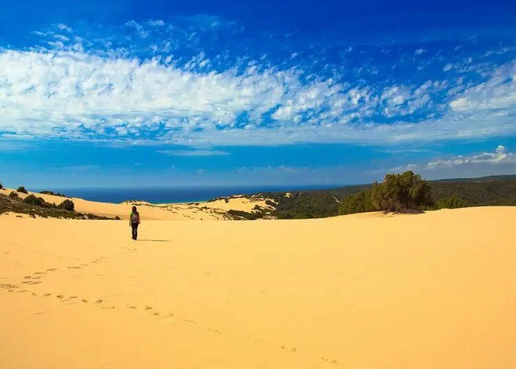 Die demographische Krise Italiens in Zahlen