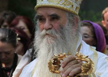 ГРУПА НЕКТАРИЈА – АМФИЛОХИЈЕ