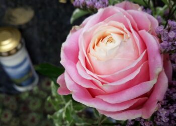 „Plötzlich und unerwartet“: US-Abtreibungsärztin tot in Puerto Rico aufgefunden