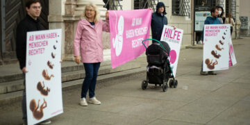 The five largest abortion clinics in Germany