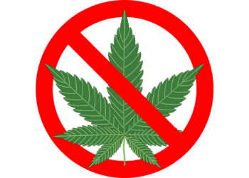 Migliaia di bambini mangiano dolcetti alla cannabis