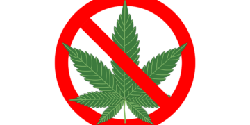 Migliaia di bambini mangiano dolcetti alla cannabis