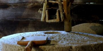 IL NOSTRO PANE QUOTIDIANO