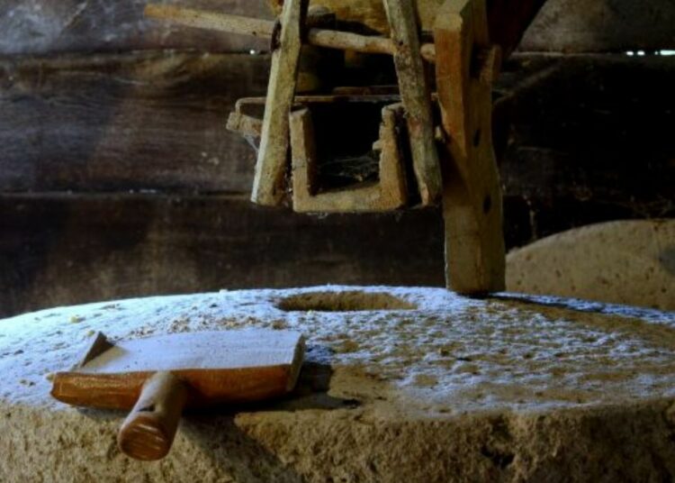 IL NOSTRO PANE QUOTIDIANO