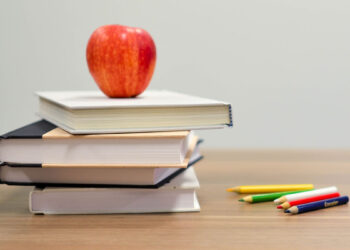 Вопросы и проблемы самарских депутатов в связи с семейным образованием