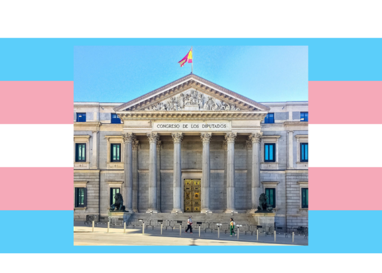 Congreso de los Diputados, transgender
