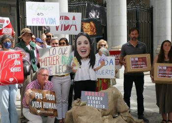 Marsch für das Leben in Spanien gegen neue Abtreibungs-Gesetze