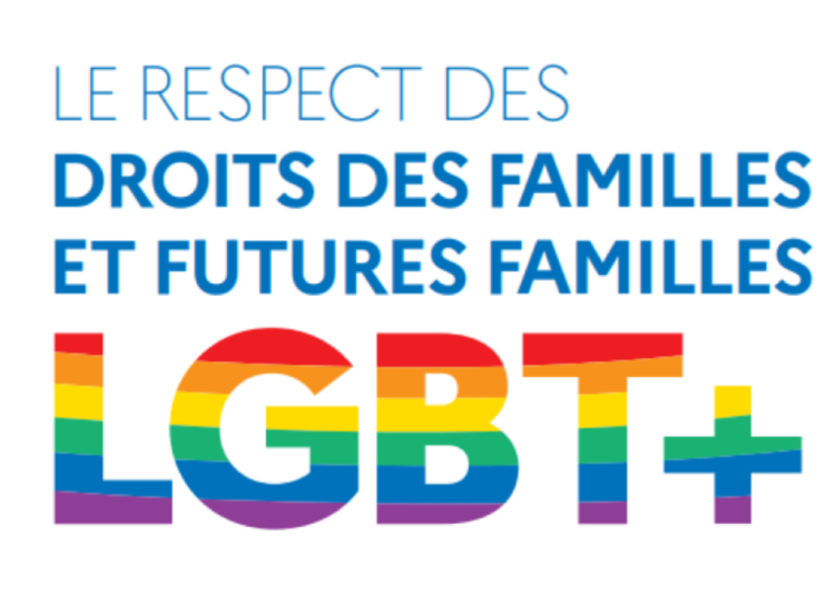 Manual para «respetar los derechos de las familias y futuras familias LGBT+»
