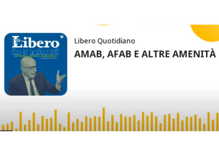 ¿»Amab» y «Afab»?