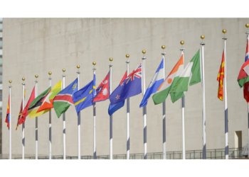 Has the UN become a pedophile club?