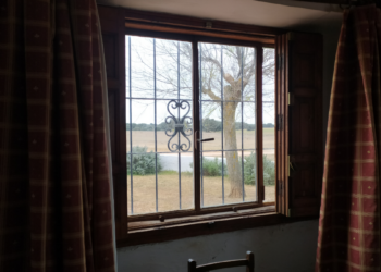 КОРЕНИ И МИРИС ЗЕМЉЕ