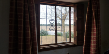 Roots and smell of the earth