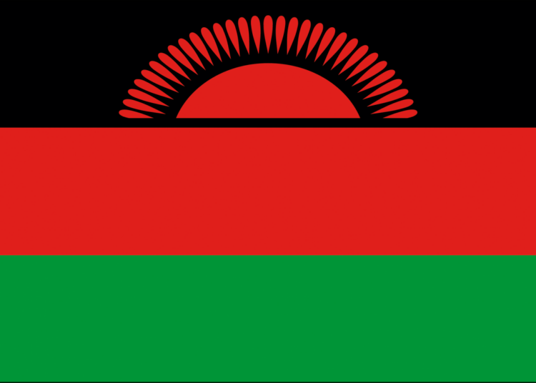 Пример Малави: высока ли смертность от незаконных абортов?