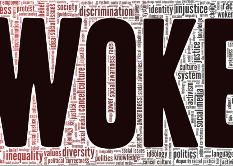 «Wokeness» no es demoráctica de base, sino un proyecto de arriba abajo