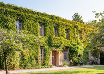Harte Strafen für falsches Gendern am Regent’s Park College in Oxford