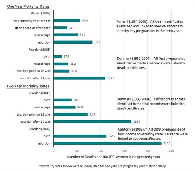 Abortion and maternal mortality (Part 2) - IFN