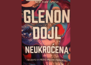 ЗАМКЕ ЗА НАИВНЕ ПО КЊИЖАРАМА И БИБЛИОТЕКАМА