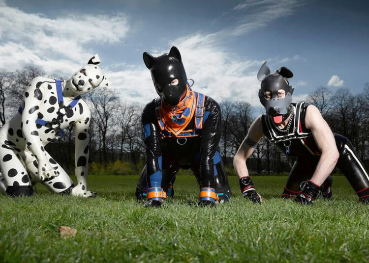 Dog identity