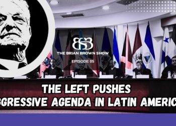 The Brian Brown Show #5 – Stop The Next Roe / Interview with Sebastian Schuff