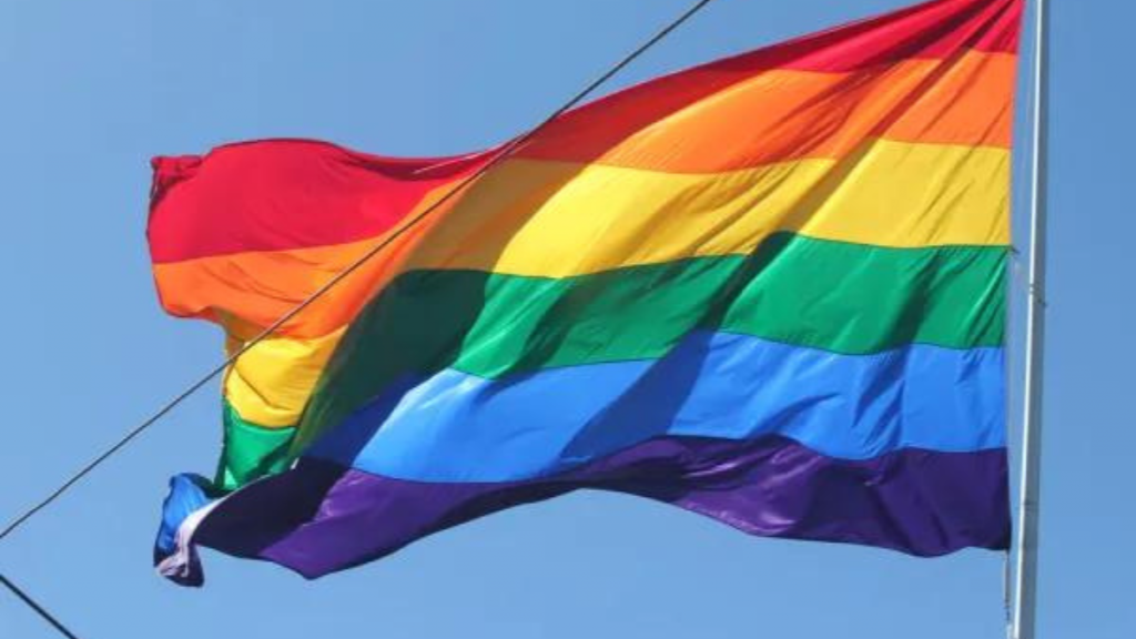"Pride flag" by quinn.anya is licensed under CC BY-SA 2.0.