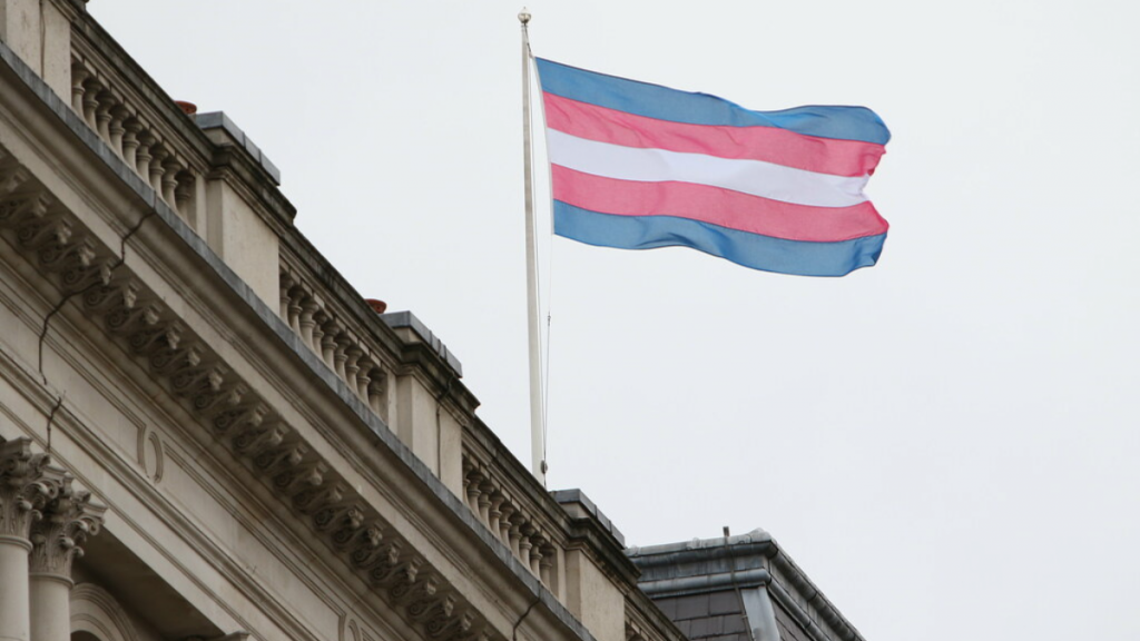 "Transgender Pride Flag" by Foreign, Commonwealth & Development Office is licensed under CC BY 2.0.
