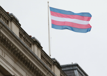 "Transgender Pride Flag" by Foreign, Commonwealth & Development Office is licensed under CC BY 2.0.