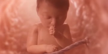 From Live Action Youtube