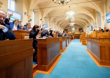 Il Senato ceco vota contro la Convenzione di Istanbul