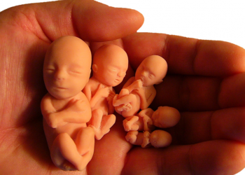 Maine permite abortos hasta el nacimiento y no prohíbe la venta de partes del cuerpo del feto