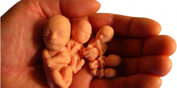 Maine permite abortos hasta el nacimiento y no prohíbe la venta de partes del cuerpo del feto