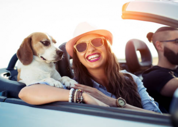 Nos lo dicen a la cara: más abortos y menos hijos