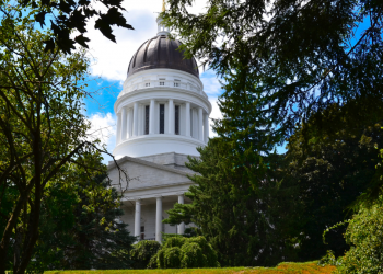 Creator: Picasa https://creativecommons.org/licenses/by-sa/4.0/deed.en