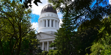 Creator: Picasa https://creativecommons.org/licenses/by-sa/4.0/deed.en