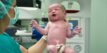 La revisión de la ley del aborto en Irlanda criticada por los grupos provida