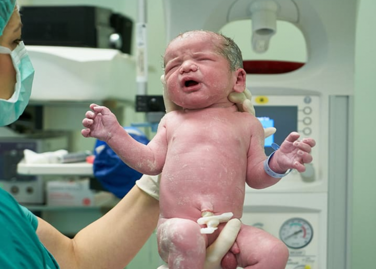 La revisión de la ley del aborto en Irlanda criticada por los grupos provida