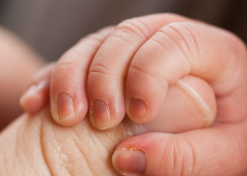 Creator: Jason Pratt 
Copyright: Jason Pratt