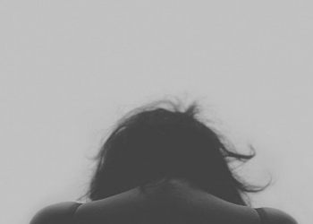 Creative Commons Attribution icon This work is licensed under the Creative Commons Attribution 4.0 International License. In short: you are free to distribute and modify the work as long as you attribute its author(s) or licensor(s). Official license Creator: MaxPixel's contributors | Credit: https://www.maxpixel.net/photo-505857 Copyright: Copyright by MaxPixel