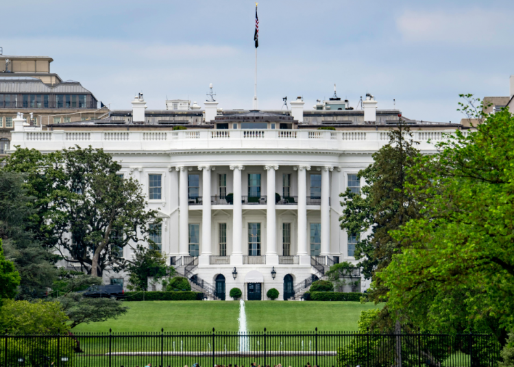 BBC Journalist David Aaronovitch deletes controversial tweet suggesting Biden should assassinate Trump