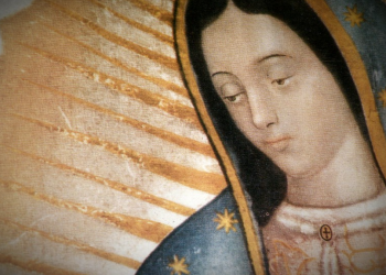 Donald Trump felicita a la Virgen María el día de su fiesta produciendo críticas en plataformas de las redes sociales