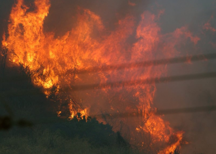 Gli incendi nel sud-ovest della California scatenano critiche alla leadership democratica