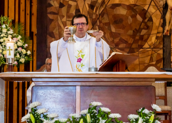 La Fundación Enraizados lanza un precioso proyecto para “iluminar” España con “Misas por la Vida” desde el 1 de marzo