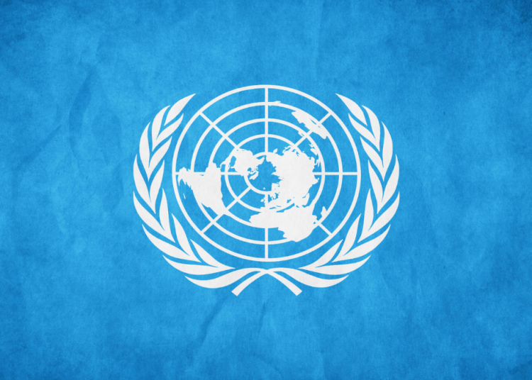 La ONU fomenta la pornografía infantil y la pedofilia