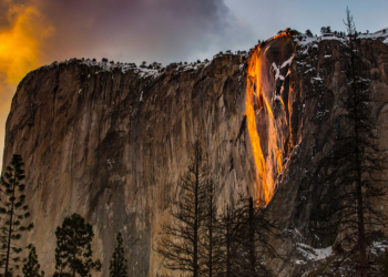 Guarda del parque Yosemite despedida por un incidente con una bandera trans