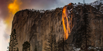 Guarda del parque Yosemite despedida por un incidente con una bandera trans