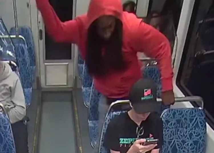 Ukranian refugee murdered by released convict on train