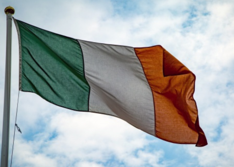 В отчете говорится, что младенцев оставляют умирать после неудачных абортов на поздних сроках в Ирландии