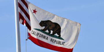 CSU requires DEI classes in order to graduate: “Queer Crip Lit” and “Decolonize Your Diet